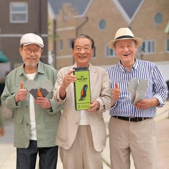 김오곤원장 로얄워크 깔창 구두용(캐쥬얼)_만보깔창 족저근막 아치 서포트 기능성 인솔