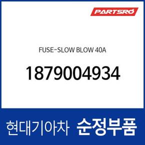 슬로우 블로우 퓨즈 40A (1879004934) 그랜저IG, 벨로스터, 벨로스터N, 쏘나타LF, 아반떼, 제네시스, I30, EQ900, G70, G80, G90, 싼타페, 코나, 투싼, 팰리세이드, 그랜져 하이브리드, 쏘나타LF 하이브리드, 아이오닉 전기차, 아이오닉