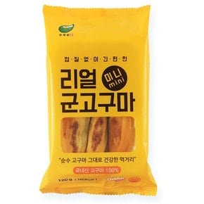 맛있는家 리얼 미니 군고구마 120g x 16개입