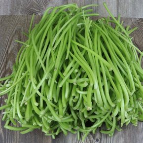 햇 고구마줄기 생 고구마순4kg