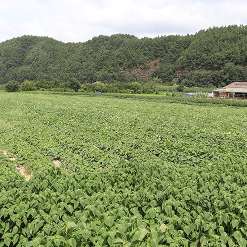 상품이미지4