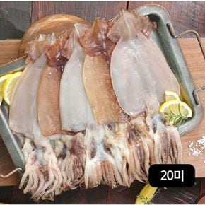 수산대전 20%  구룡포 반건조오징어 140g(2미)X10팩 (총 20미)[34093660]