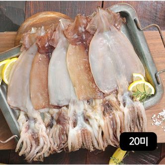 NS홈쇼핑 수산대전 20%  구룡포 반건조오징어 140g(2미)X10팩 (총 20미)[34093660]