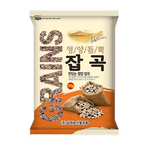 [2025년산] 발아혼합잡곡 22곡 500g