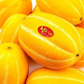 고당도 맛보장 성주 꿀 참외 실중량 성주참외 가정용/소과 2.5kg(12-18과) 실중량