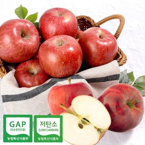 경북 사과 홍로 자홍 소과 2kg / 10-11과