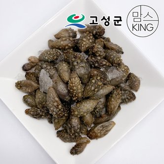 공룡나라 동성수산 국산 생물 미더덕(육수용,찌개용) 4kg / 경남 고성