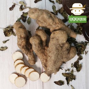 안동산지에서 바로보내드리는 튼실한 산마(못난이) 2kg