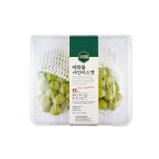 [국산의 힘] 매화뜰 샤인머스켓 1.2kg/팩