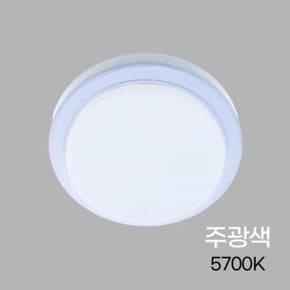 원형 LED 직부등 스마트 15W 주광 KC_WE258B5