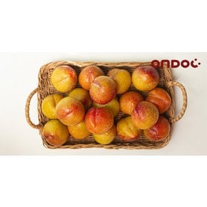 새콤달콤 햇 자두 중대과 2kg (22과내외)