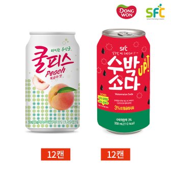  쿨피스 복숭아 수박소다 2종 세트 355ml x 24캔