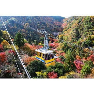 롯데관광 롯데단독부산[품격][온천호텔] 교토/고베/오사카 4일  유네스코세계유산/천연온천+고베숙박