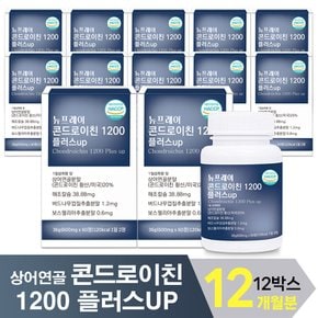 뉴프레이 콘드로이친 1200 플러스업 12개월분