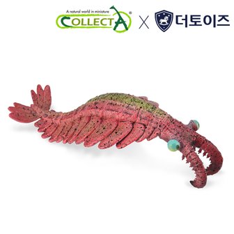 컬렉타 아노말로카리스