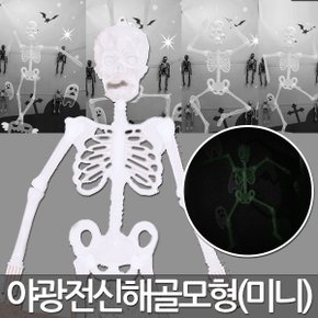 해골 야광해골 미니 할로윈장식 할로윈소품 전신 파티