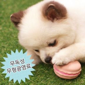 강아지 고양이 비스켓 마카롱 패리스독 라텍스토이 X ( 3매입 )