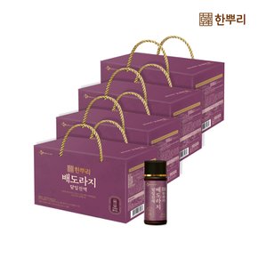 한뿌리 배도라지 달임진액 100ml*10병 x 4개