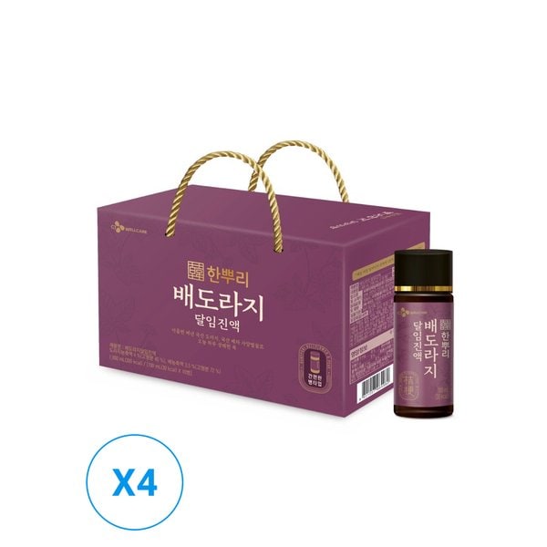 한뿌리 배도라지 달임진액 100ml*10병 x 4개