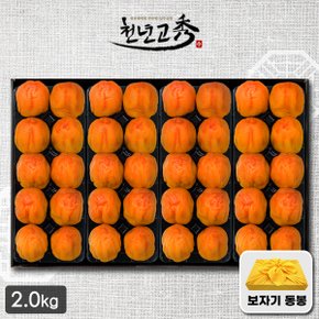 [바로배송] 천년고수 상주곶감선물세트 반건시 40과(50g~55g/2.0kg)