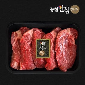 [농협안심한우]1등급 한우 안심 1kg