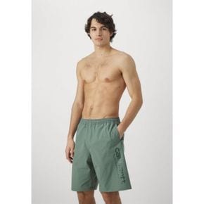 4645981 Carhartt BRAME SWIM TRUNKS - Swimming shorts park/chervil