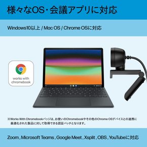 HP Webcam 320 HD Webcam 1080 30fps Chromebook USB Type-A 풀 프라이버시 렌즈 캡 첨부 시야각