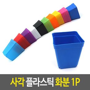 사각 플라스틱 화분 소형 다육이 칼라