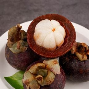 항공직송 태국 망고스틴 생과 500g (4-7과)
