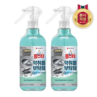 엘지생활건강 홈스타 악취를 부탁해 계피향 탈취제 500ml X 2개