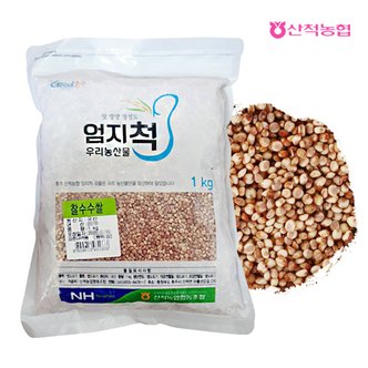 산척농협 엄지척잡곡 찰수수 1kg(1팩)