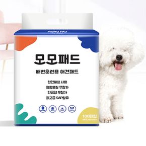 절약형 패드 100매 가성비좋은 냄새잡는 배변패드