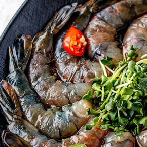 탱글한 식감 블랙타이거 새우장 (소) 800g (10미)