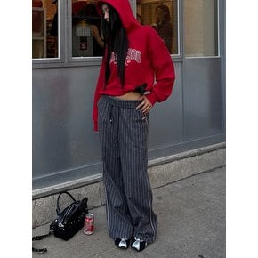 MNS Pinstripe Wide Brushed Pants_Gray