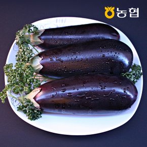 GAP인증 농협선별 가지 5입