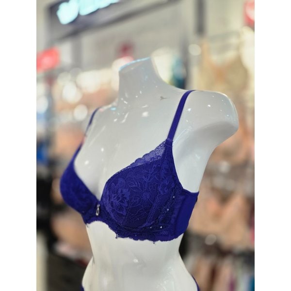 [시흥점] S 비너스 ) FY24AW 감각 블랙라벨 몰드 브라 [VBRB639-BU]