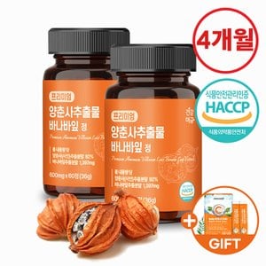 건강머금 양춘사 추출물 바나바잎 효능 프리미엄 정 2병(4개월분)