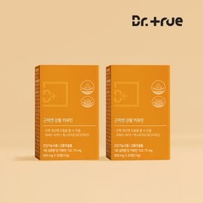 근력엔 강황 추출물 커큐민 수용성 나노 분말 30정, 2박스