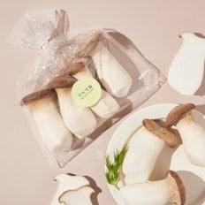  친환경 새송이버섯 400g