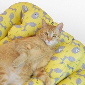 튼튼한 순면 쾌적한 강아지 고양이 애견 쿠션 방석 베개 세트 중형