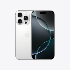 애플 아이폰 16 Pro 프로 128GB/256GB/512GB/1TB iPhone 티타늄 무음 카메라 관부가세포함