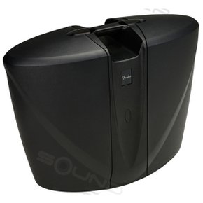 페스포트 베뉴 시리즈2 600W 충전식 이동형 시스템 fender passport venue2