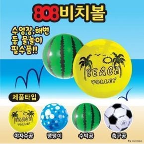 4칼라 비치볼 수박 해변 투명 바다 비치공