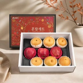 [바로배송] [농협] 프리미엄 사과/배 혼합세트 4.5kg(사과3과,배6과)