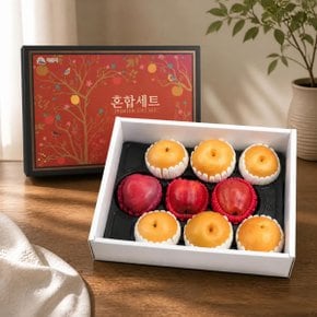 [바로배송] [농협] 프리미엄 사과/배 혼합세트 4.5kg(사과3과,배6과)