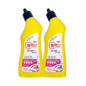 홈백신 락스세제 하나로 세정제 플로랄향 750ml x2개
