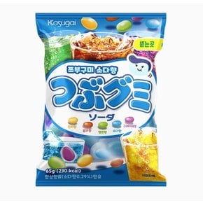 카수가이  쯔부구미 소다 65g