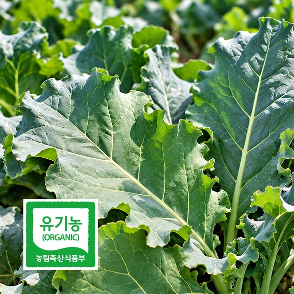 확대된 대표 대표이미지