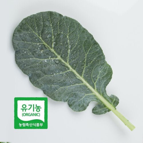 추가2이미지