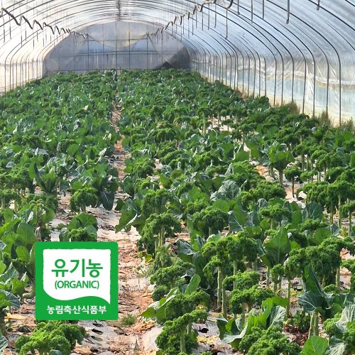 추가7이미지